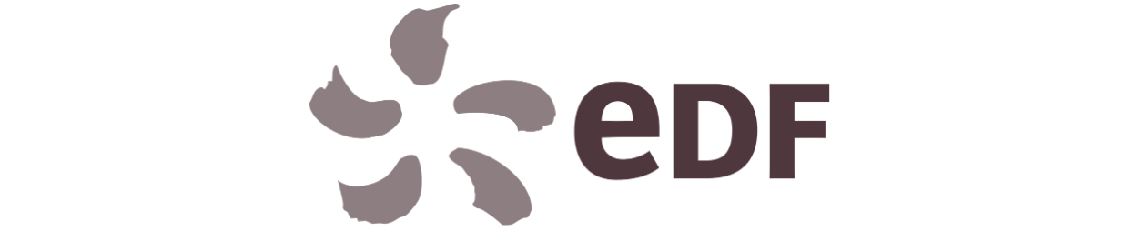 Logo EDF - client Bandyy